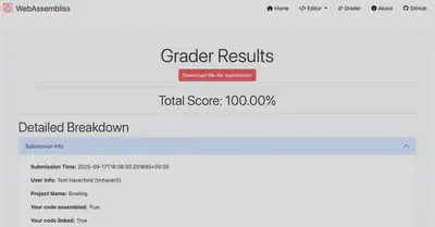Figure 1: Grader results example.